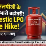 Home Domestic LPG Price Hike